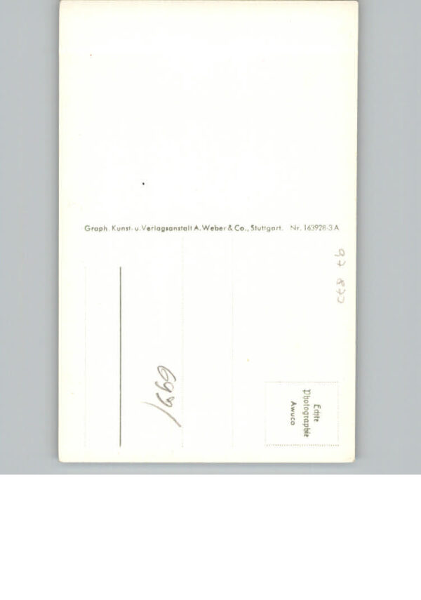 Wertheim Main Maingasse – Bild 2