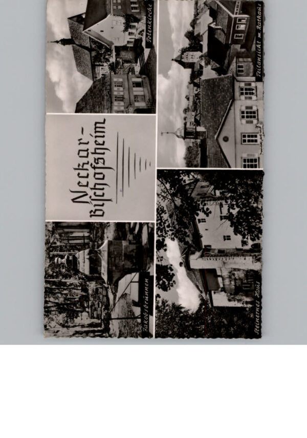 Neckarbischofsheim