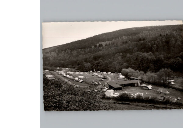 Hirschhorn Neckar