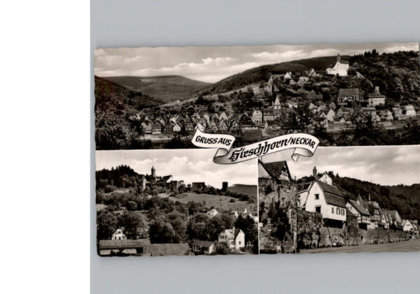 Hirschhorn Neckar