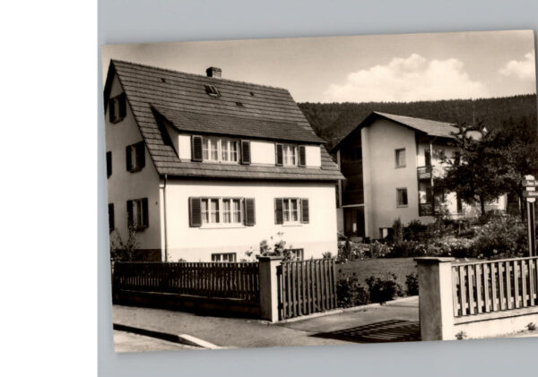 Hirschhorn Neckar