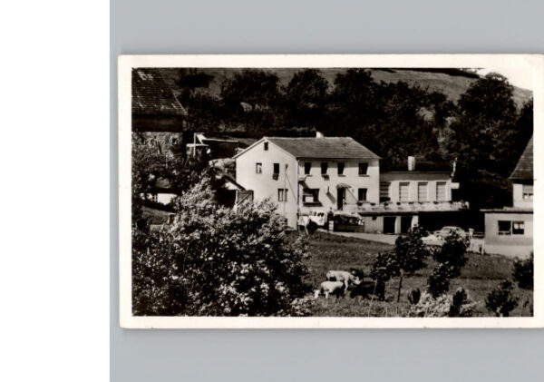 Loehrbach Gasthaus - Pension Zum Odenwald
