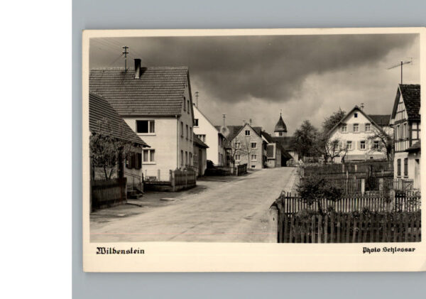 Wildenstein Neckar