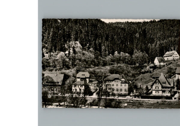 Bad  Teinach