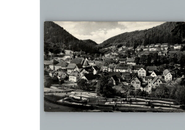 Bad  Teinach Minigolfplatz