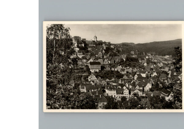 Altensteig Wuerttemberg