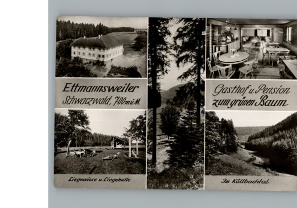 Ettmannsweiler Gasthof Pension Zum gruenen Baum