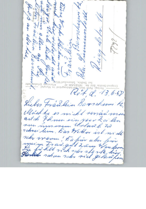 Schoenegruend – Bild 2