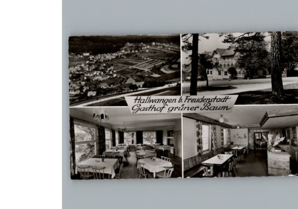 Hallwangen Gasthof Gruener Baum