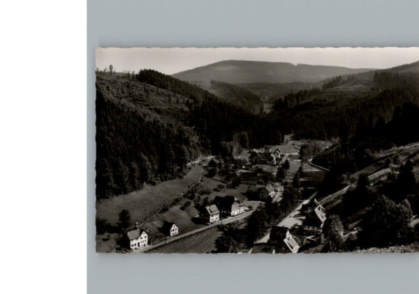 Schoenmuenzach