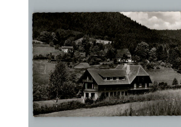 Ehlenbogen Gasthof Pension Adler