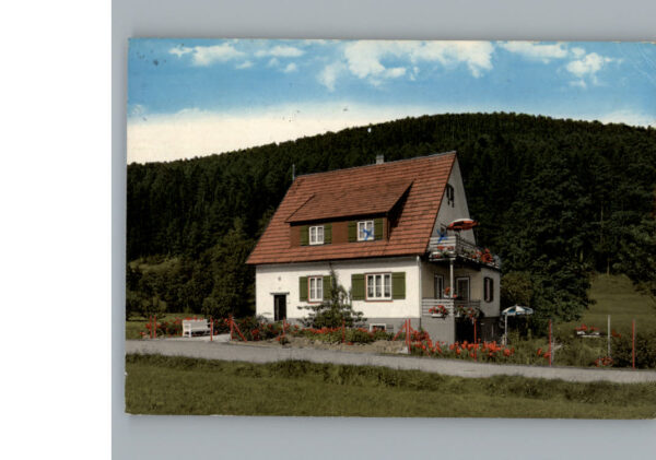Baiersbronn Schwarzwald Pension Haus David Borho