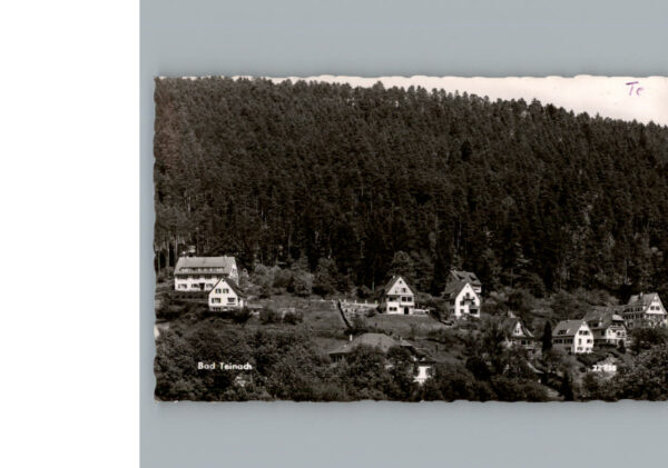 Bad  Teinach