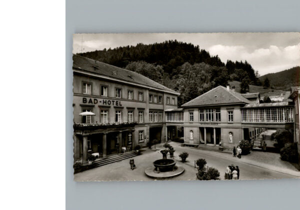 Bad  Teinach Bad-Hotel