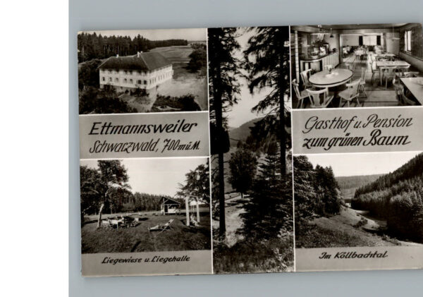 Ettmannsweiler Gasthof Pension Zum gruenen Baum