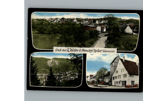 Weiden Dornhan