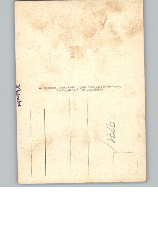 Weiden Dornhan – Bild 2