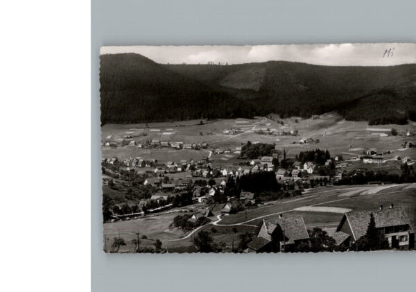 Mitteltal