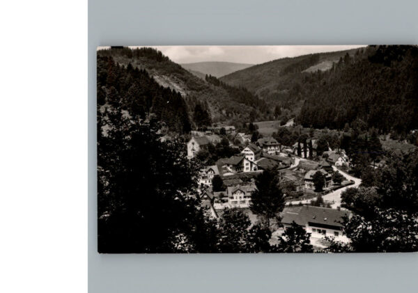 Schoenmuenzach