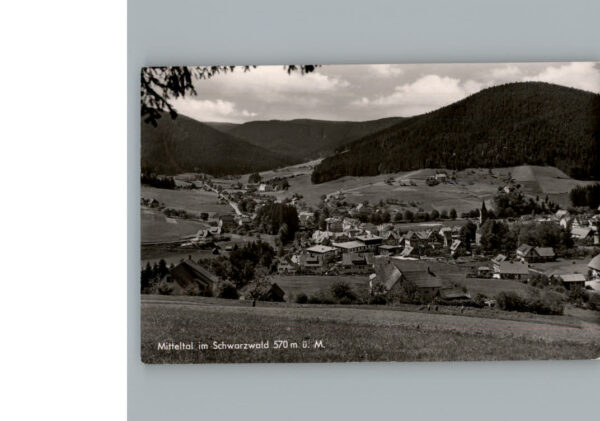 Mitteltal