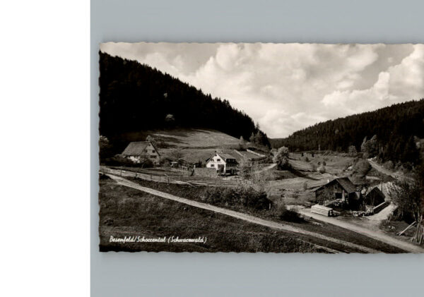 Besenfeld