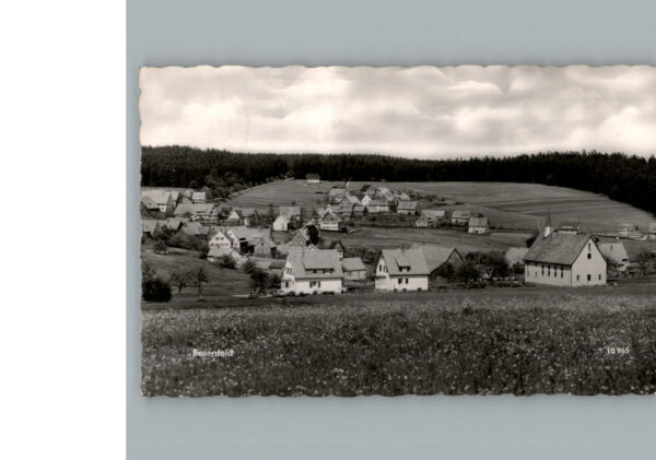 Besenfeld