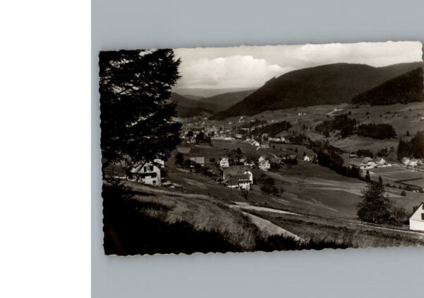 Mitteltal