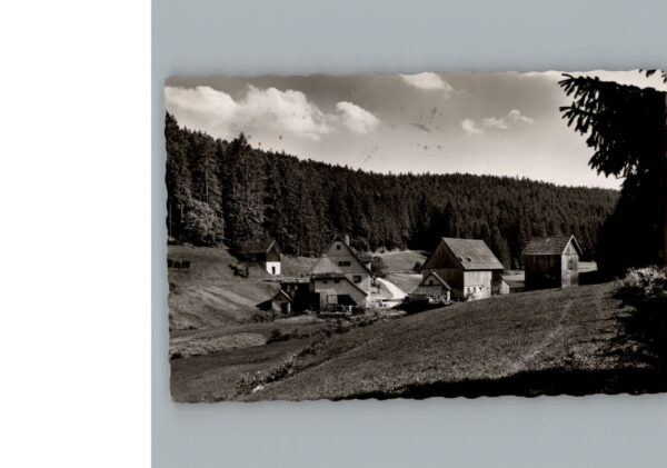 Pfalzgrafenweiler