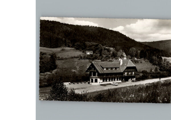 Ehlenbogen Gasthof Pension zum Adler