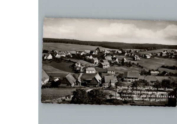 Besenfeld