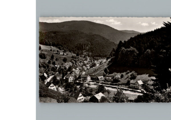 Schoenmuenzach