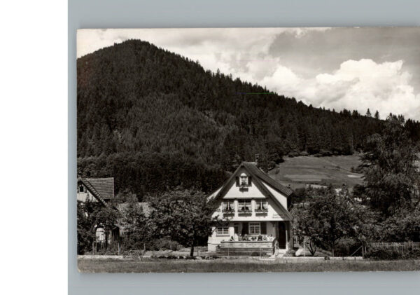 Klosterreichenbach Pension Waldfrieden