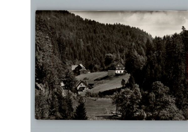 Schoenmuenzach hinterlangenbach