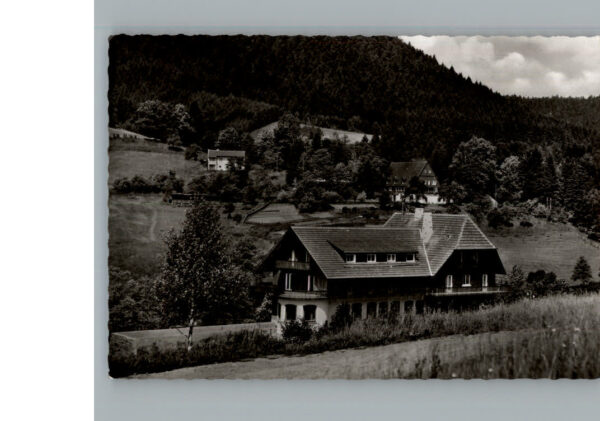Ehlenbogen Gasthof Pension Adler