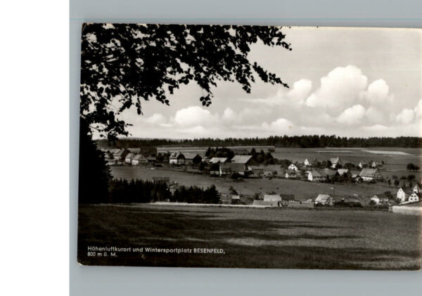 Besenfeld