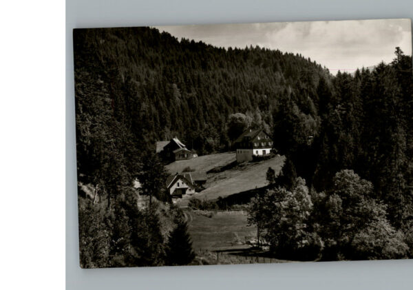 Schoenmuenzach Hinterlangenbach