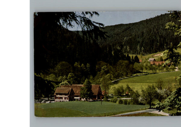 Ehlenbogen Gasthof Pension Mittlere Muehle