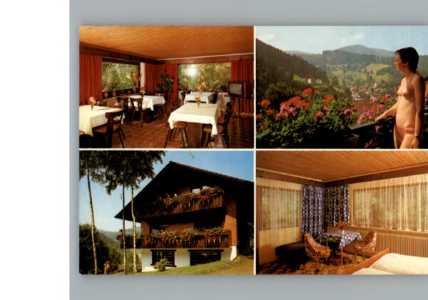 Baiersbronn Schwarzwald Pension Waldesruh