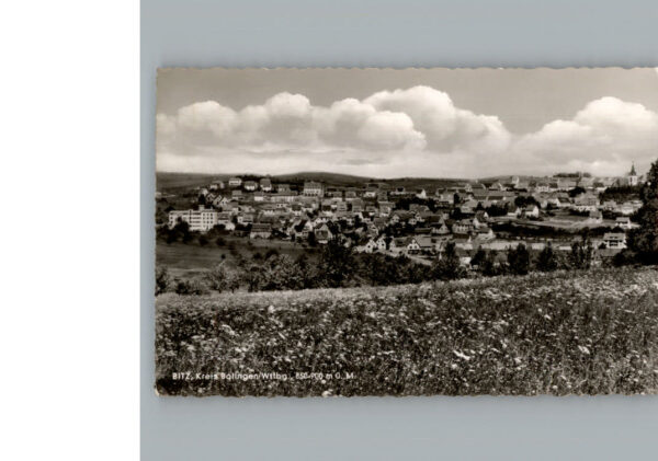 Bitz Wuerttemberg