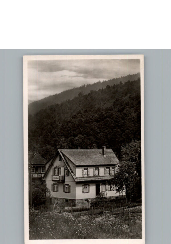 Bad Herrenalb Pension Haus Friedrichsruh