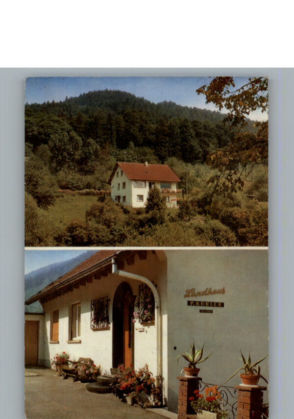 Bad Herrenalb Pension Landhaus p. Kuebler