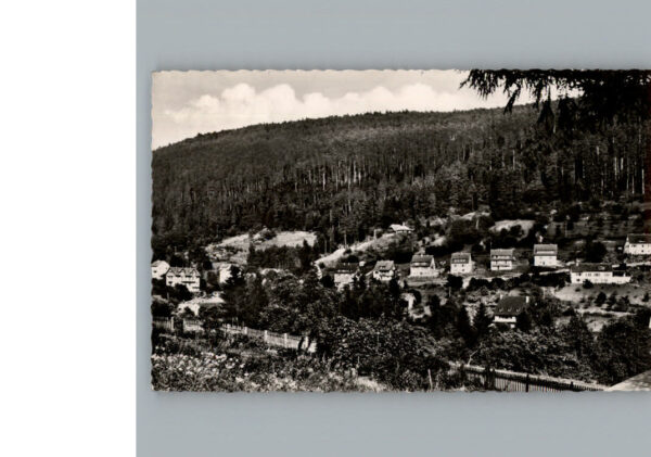 Bad Wildbad