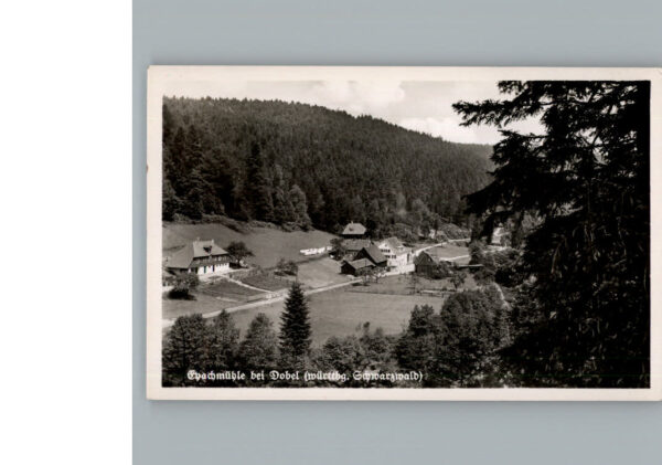 Dobel Schwarzwald