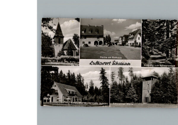 Schwann