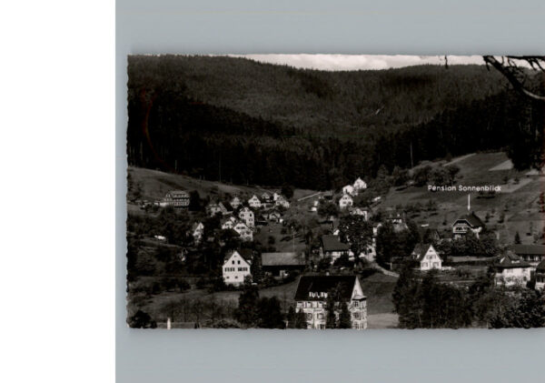 Enzkloesterle