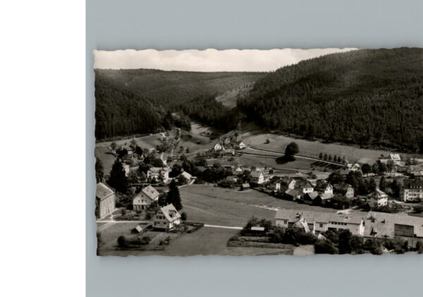 Enzkloesterle