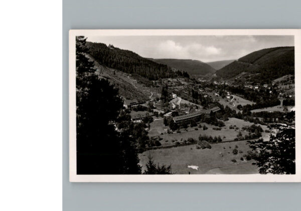 Bad Wildbad