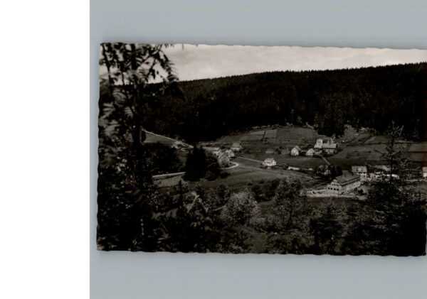 Enzkloesterle