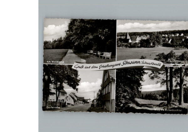 Schwann