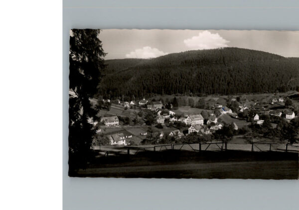 Enzkloesterle